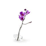 Gauge Stem - Space to Show